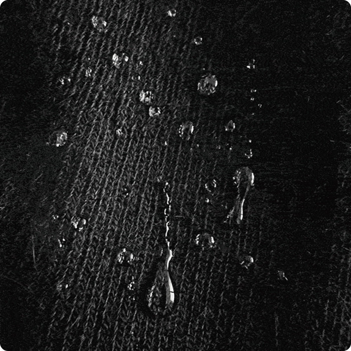 Follow Hollow