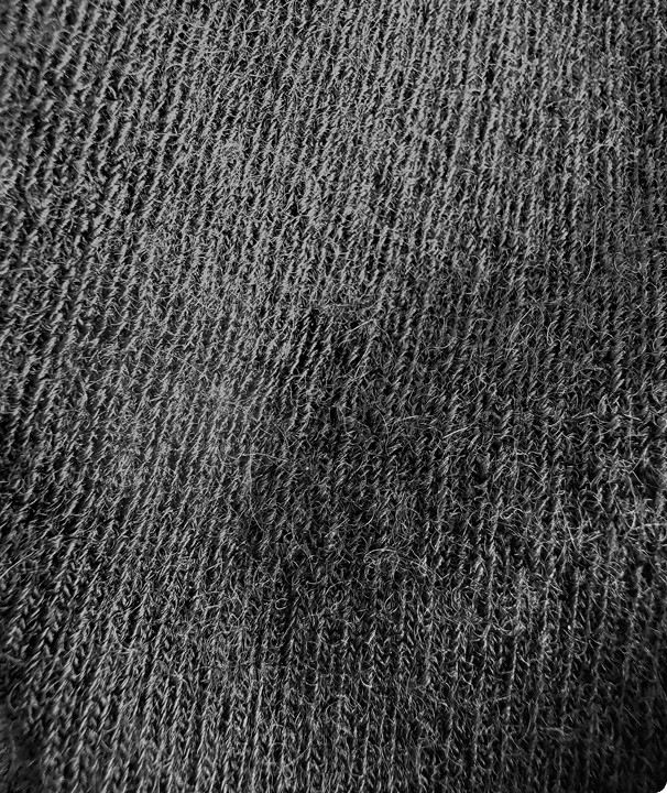No-Show Socks