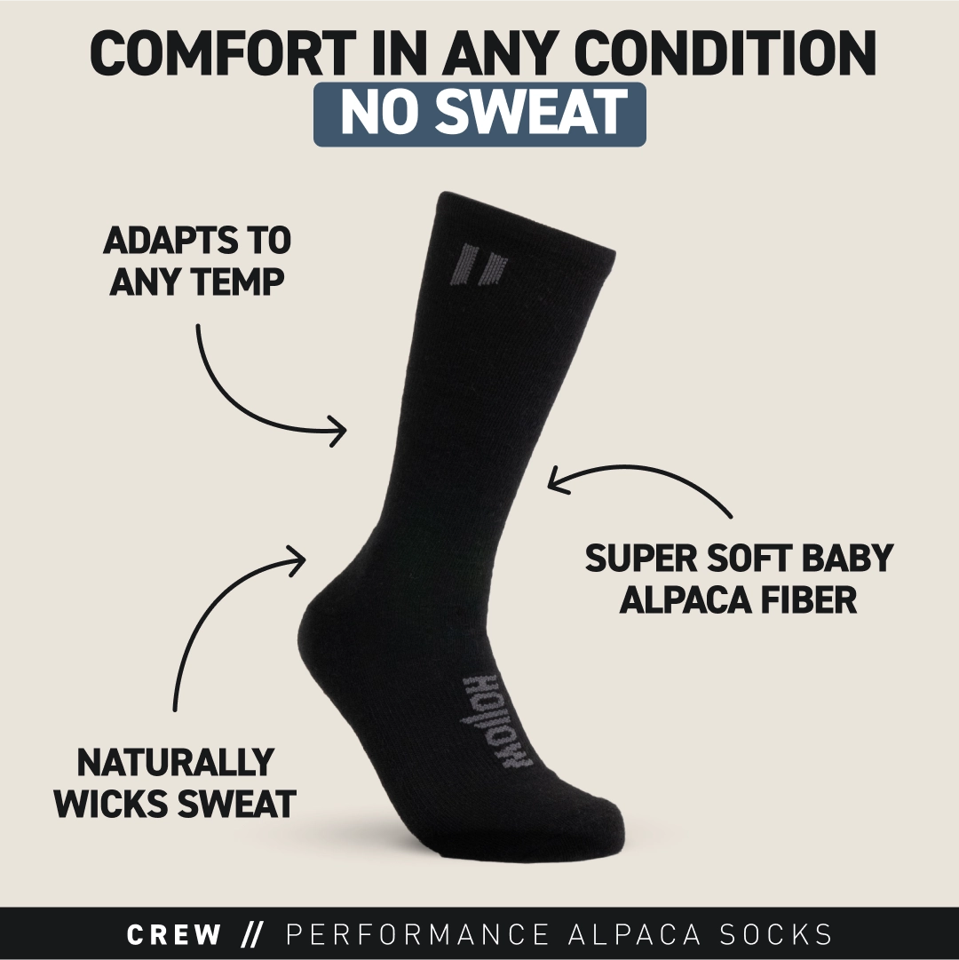 Crew Socks Hollow Performance Alpaca Socks – Hollow Socks