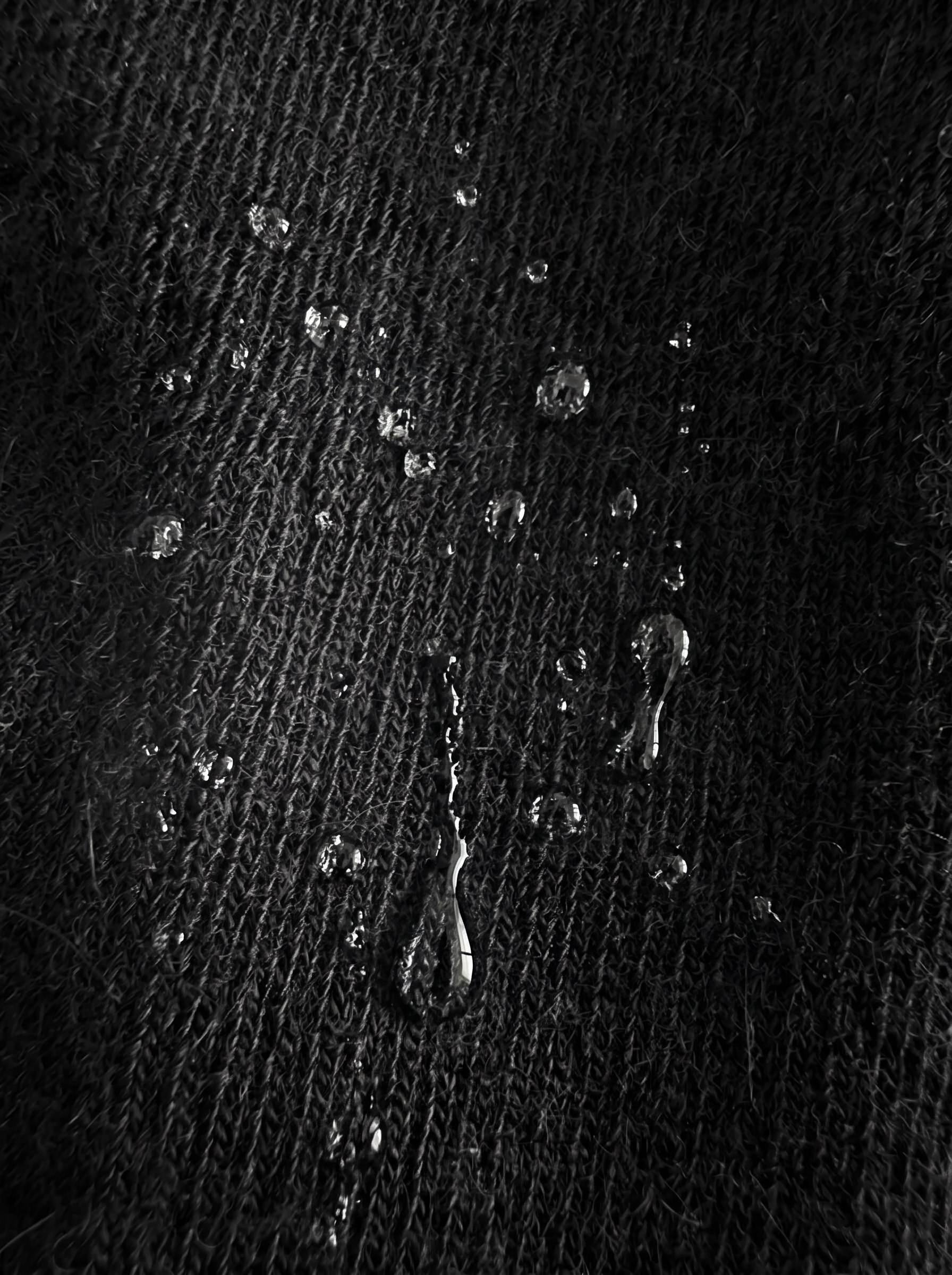 Follow Hollow
